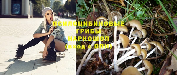 скорость Белокуриха