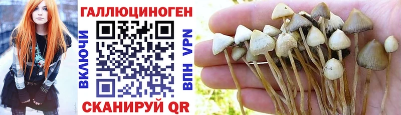 Псилоцибиновые грибы прущие грибы Алушта