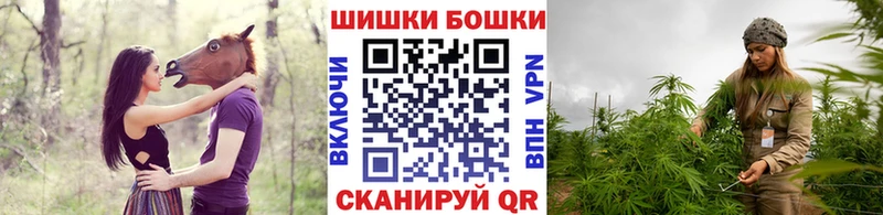 Шишки марихуана Bruce Banner  Купить где  Алушта 